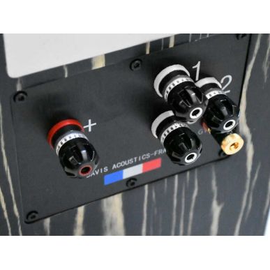 Напольная акустика Davis Acoustics MV One Master Ebony